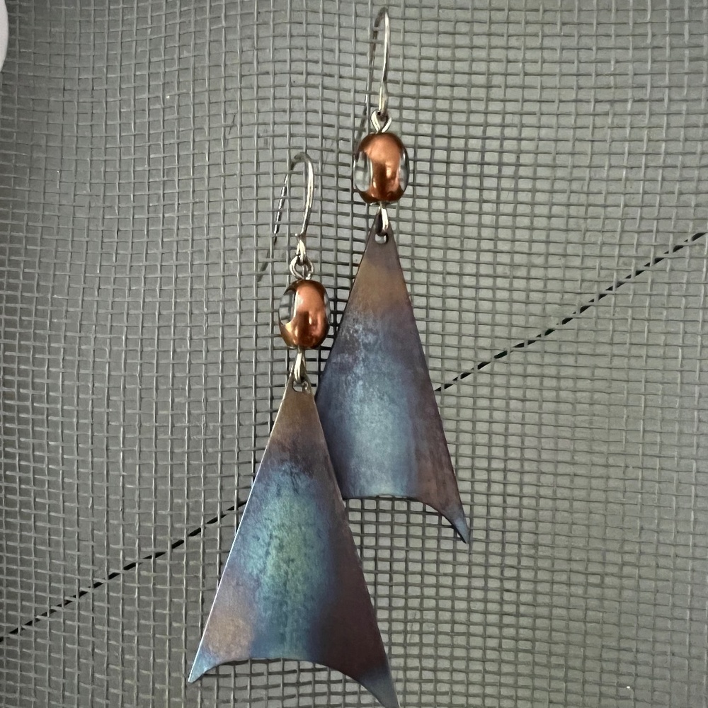 Titanium Earrings - image 1